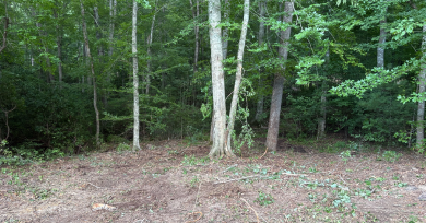 Forestry Mulching Slider