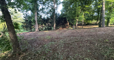 Land Clearing Slider